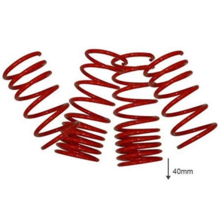 US-Racing Muelles de descenso 40mm - LS