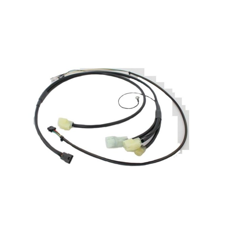 Rywire Subharnass OBD0 - RY