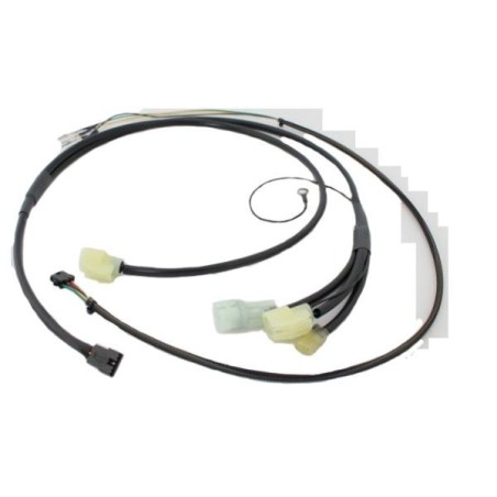 Rywire Subharnass OBD0 - RY