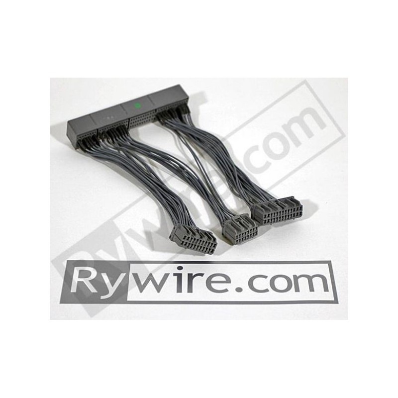 Rywire Arnés de conversión ECU OBD2A - OBD1 - RY