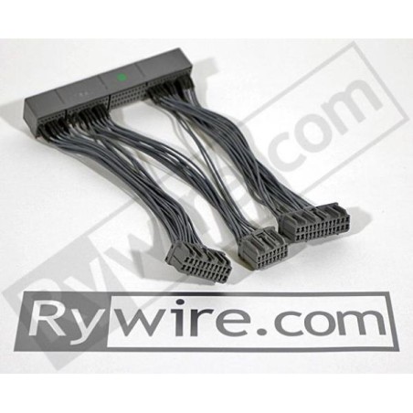 Rywire Arnés de conversión ECU OBD2A - OBD1 - RY