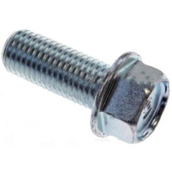Honda Tornillo de brida M10x25 - 95701-10025