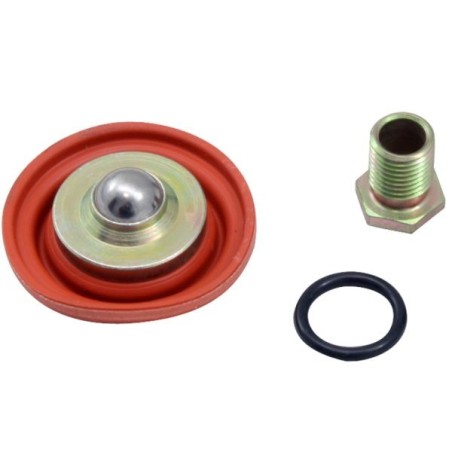AEM Electronics Kit de revisión del regulador de presión de combustible - AEM-25