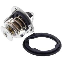 Ashuki Termostato 78ºC - H106