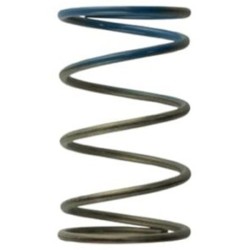 Turbosmart WG38/40/45 wastegate spring - 11psi Marrón/Azul - TS-0505