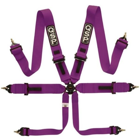QSP Cinturón de 6 puntos Pro Plus FIA - Morado