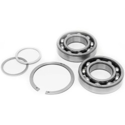 Synchrotech Kit de conversión de cojinete cónico diferencial a cojinete de bolas - B