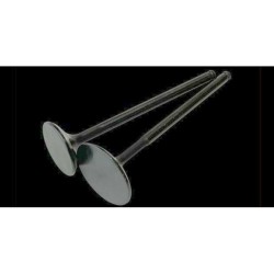 Brian Crower Válvulas de admisión acero inoxidable (Nitruro Negro) - (33mm / STD) - set/8