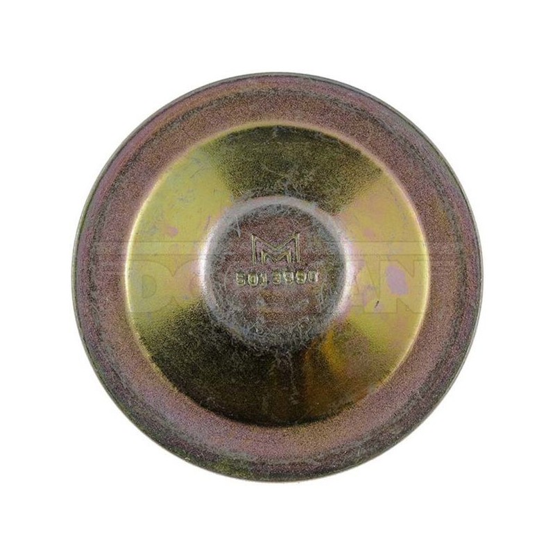 Dorman Guardapolvos de cubo de rueda