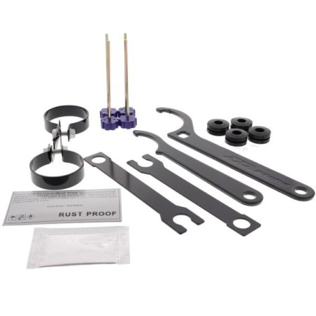 D2 Kit coilover - Street (serie RS) con GOCA - D-HN-30-S