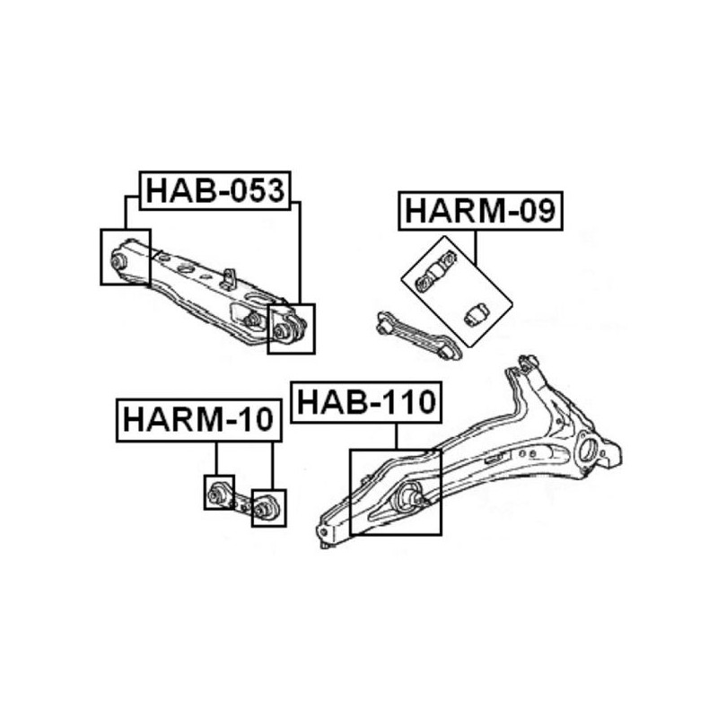 Febest Bujes brazo soporte trasero superior (camber) - HARM