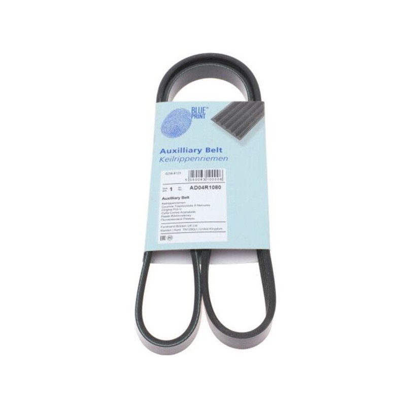 Blueprint Cinturón acanalado 4PK1080