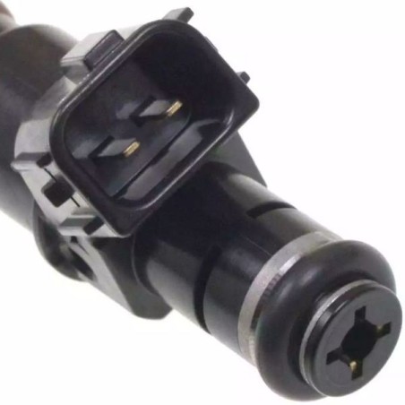 Intermotor Inyector de combustible