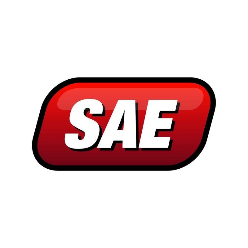 Performance Tool Surtido de juntas tóricas de 407 piezas - SAE