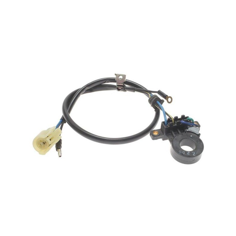 Intermotor Mazo de cables del distribuidor / bobina de arranque