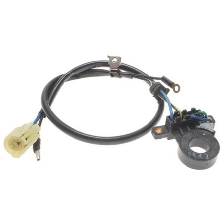 Intermotor Mazo de cables del distribuidor / bobina de arranque