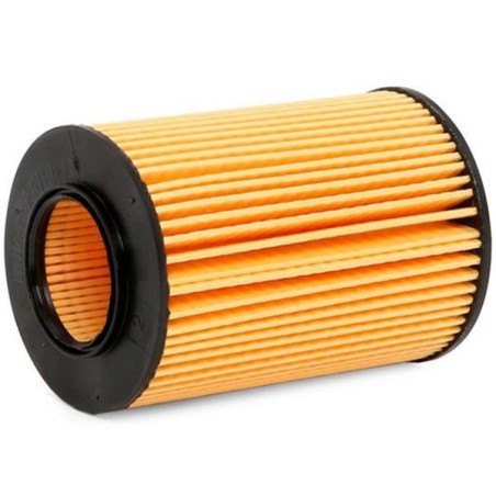 Purflux Filtro de aceite