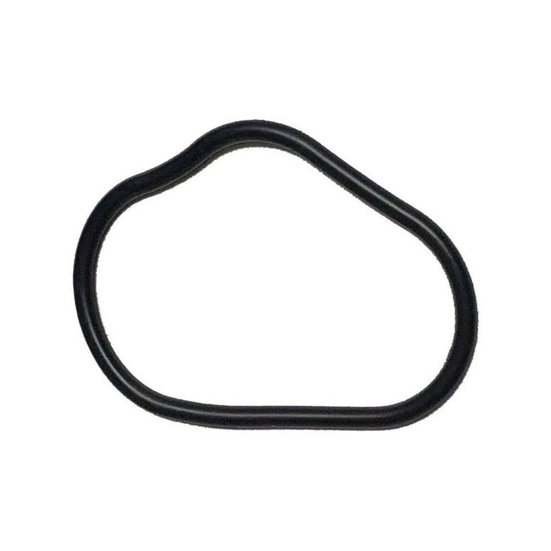 Honda Protector de cadena junta tórica - 91302-PNA