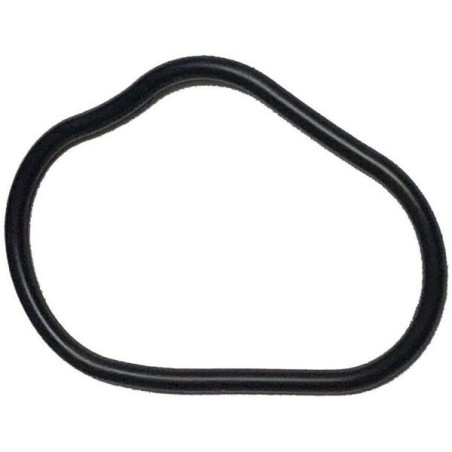 Honda Protector de cadena junta tórica - 91302-PNA